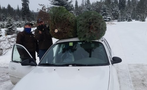 Two men stand beside a car with two Christmas trees strapped to the roof, surrounded by a snowy landscape.