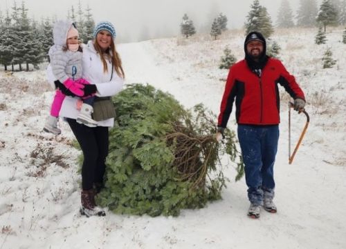 A family in winter attire smiles while carrying a Christmas tree through a snowy landscape.
