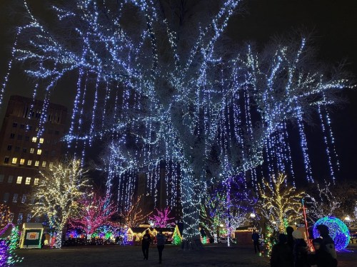 A large tree adorned with cascading blue lights, surrounded by colorful holiday decorations and people enjoying the scene.