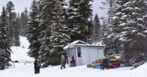 A small cabin in a snowy landscape, surrounded by tall trees, with people near colorful sleds stacked outside.