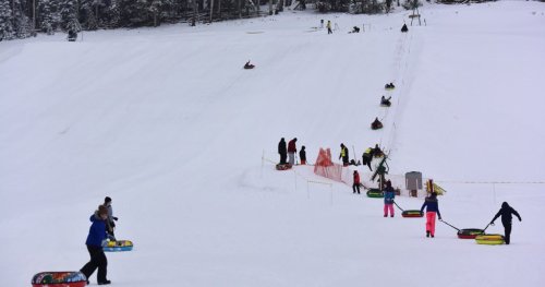 People sledding down a snowy hill, with some walking back up and others preparing to slide down. Trees in the background.