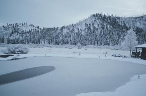 A snowy landscape featuring a frozen pond, surrounded by trees and mountains under a cloudy sky.