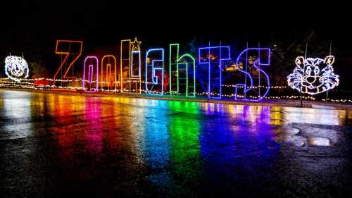 Colorful illuminated sign reading "Zoolights" with animal faces, reflecting on a wet surface at night.