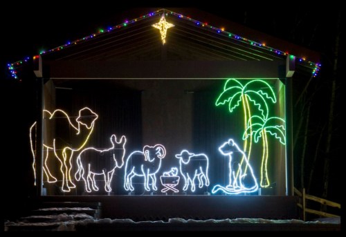 A festive display of neon lights featuring a camel, sheep, cow, and palm tree, set against a dark night sky.