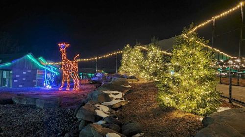 A brightly lit giraffe sculpture stands among illuminated trees and festive lights at night.