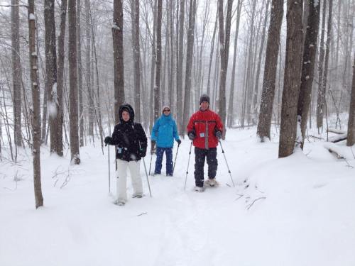 Three people snowshoeing in a snowy forest, surrounded by tall trees and falling snow.