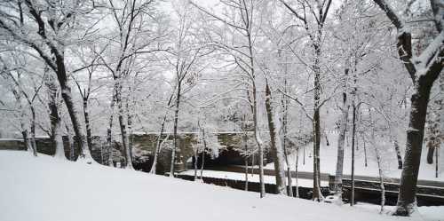 A snowy landscape with trees covered in white, a stone bridge, and a quiet road beneath a gray sky.