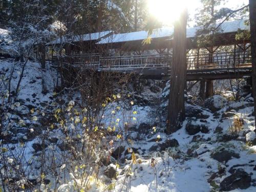 A snowy landscape with a wooden bridge surrounded by trees and sunlight filtering through the branches.