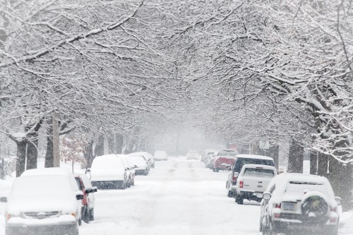 A snowy street lined with trees and parked cars, blanketed in fresh snow, creating a serene winter scene.