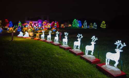 A festive display of illuminated reindeer and colorful holiday lights in a dark outdoor setting.