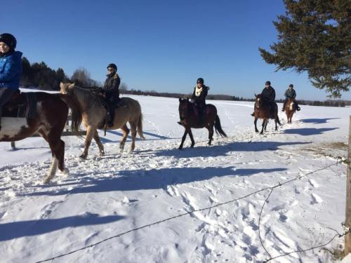 A group of people riding horses on a snowy landscape under a clear blue sky.