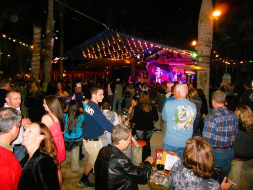 A lively outdoor party scene at night with a crowd enjoying live music under colorful lights and palm trees.