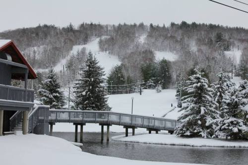 A snowy landscape featuring a wooden bridge over a pond, surrounded by trees and a ski hill in the background.