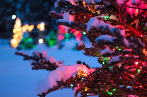 A snowy tree adorned with colorful Christmas lights, with blurred festive decorations in the background.