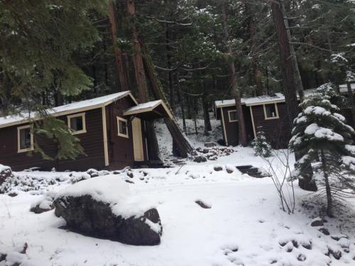 Two small brown cabins nestled in a snowy forest, surrounded by tall trees and rocky terrain.