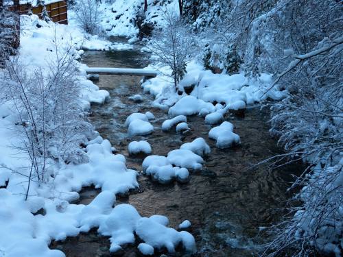 A serene winter scene of a snow-covered creek surrounded by trees and a blanket of fresh snow.
