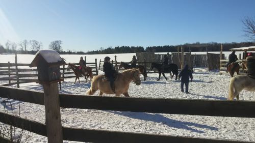 A snowy scene with people riding horses in a fenced area, surrounded by trees and a clear blue sky.