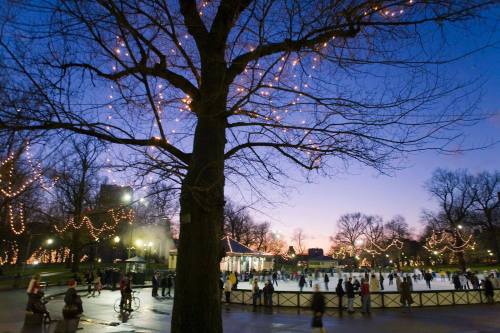 A winter scene at dusk with skaters on an ice rink, surrounded by trees adorned with twinkling lights.