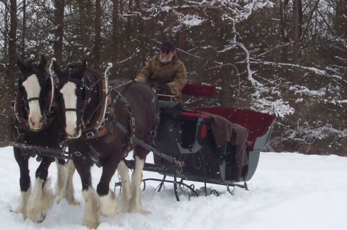 A man in a winter coat drives a horse-drawn sleigh through a snowy landscape, pulled by two large horses.