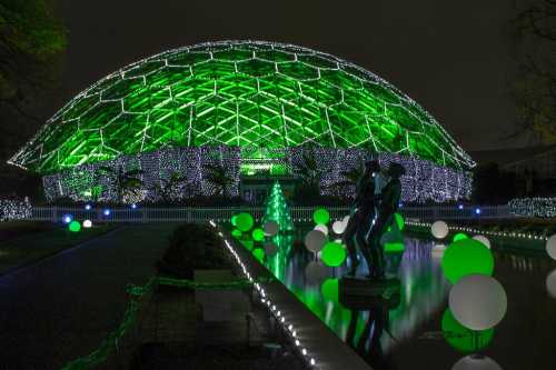 A large dome illuminated with green lights, surrounded by glowing spheres and a statue, reflecting in a pond at night.