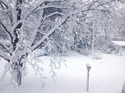 A snowy landscape with a tree covered in snow, power lines in the background, and a lamp post partially buried in snow.