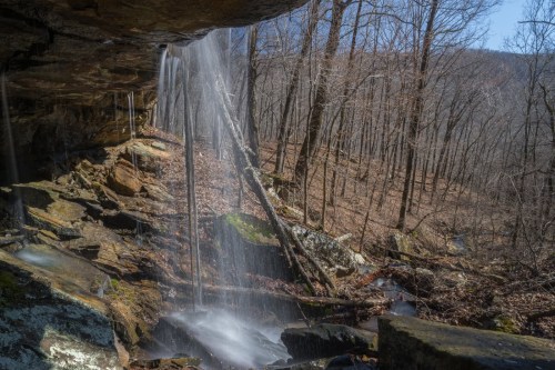 A serene waterfall cascades over rocks in a wooded area, surrounded by bare trees and a peaceful landscape.