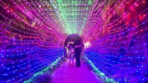A colorful tunnel of lights with two people walking together, surrounded by vibrant purple and green hues.