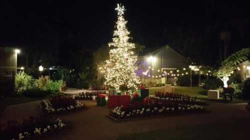 A beautifully lit Christmas tree surrounded by festive decorations and flowers in a garden at night.