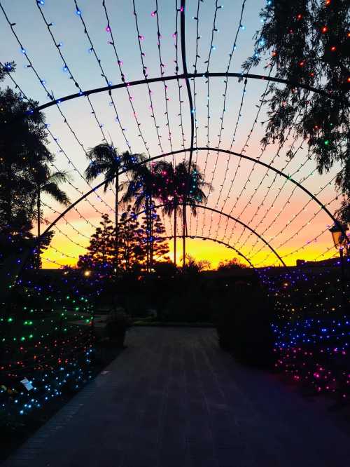 A pathway framed by colorful lights leads to a vibrant sunset with palm trees silhouetted against the sky.