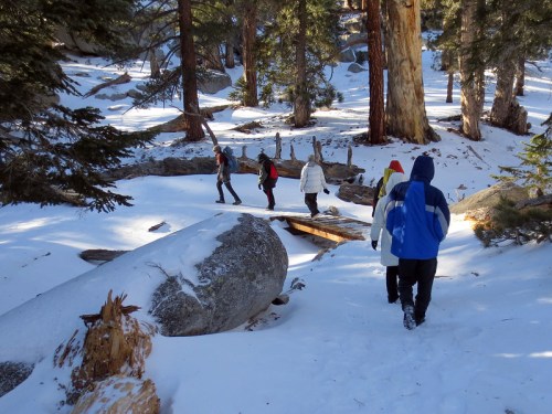 A group of people walking through a snowy forest, surrounded by tall trees and large rocks.