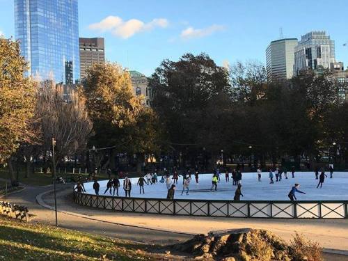 People ice skating on a rink in a park, surrounded by trees and city buildings under a clear blue sky.