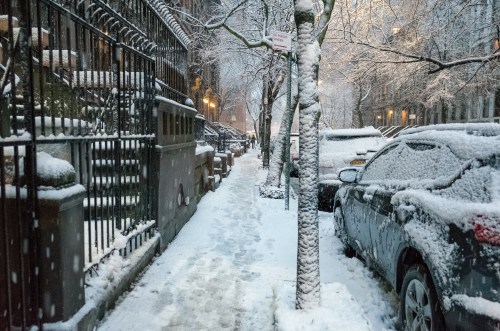 A snowy sidewalk lined with trees and parked cars, illuminated by soft streetlights in a winter scene.