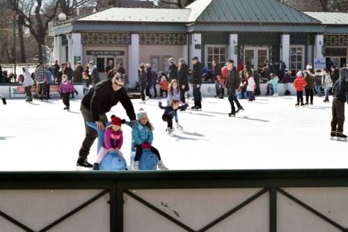 A busy ice skating rink with families and children enjoying skating and playing on the ice.