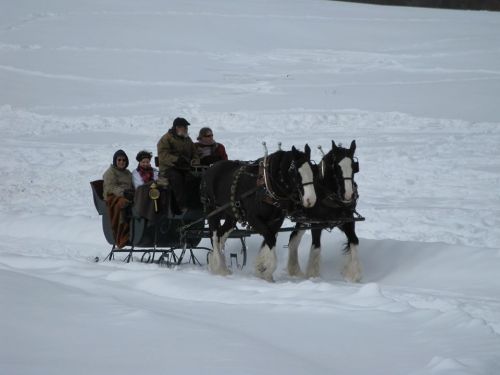 A horse-drawn sleigh carries passengers through a snowy landscape.