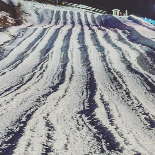 A snowy path with distinct tire tracks leading through a winter landscape.