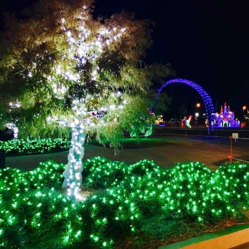 A brightly lit tree surrounded by green lights, with colorful holiday decorations in the background at night.