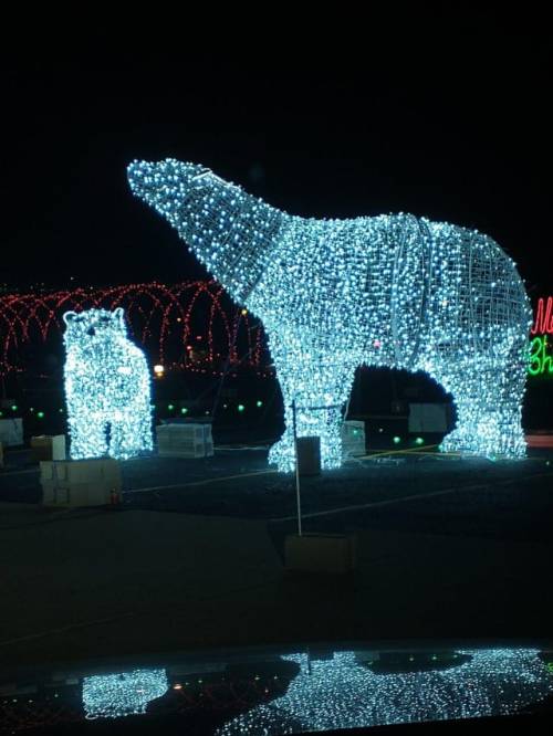 Two large illuminated polar bear sculptures made of white lights, set against a dark night sky.