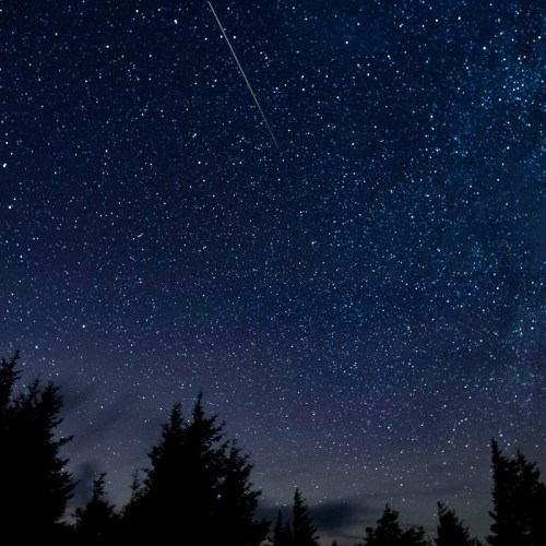 A starry night sky filled with twinkling stars and a bright meteor streaking across the scene. Silhouetted trees in the foreground.