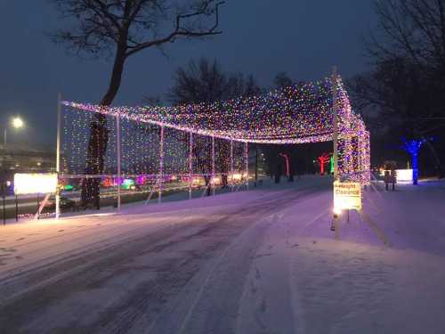 A snowy scene featuring a pathway adorned with colorful holiday lights and a sign indicating "Parking Clearance."