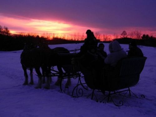 A horse-drawn sleigh rides through snow at sunset, with people enjoying the scenic winter landscape.
