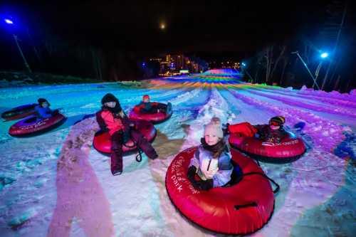 A group of children and adults sit on snow tubes at night, surrounded by colorful lights on a snowy slope.