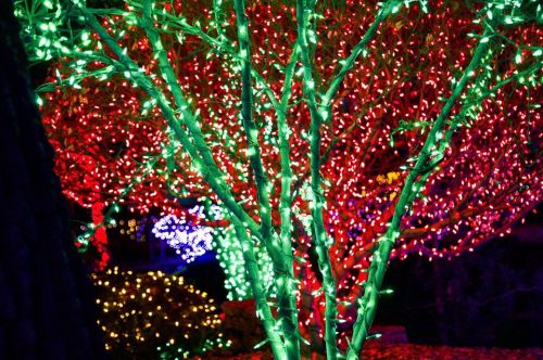 A tree adorned with vibrant red and green lights, creating a festive and colorful atmosphere.