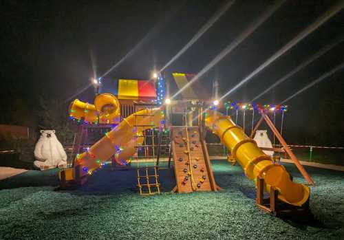 A brightly lit playground at night featuring slides, climbing walls, and two large bear sculptures.