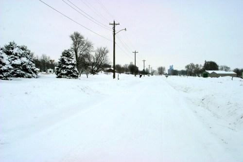 A snowy road lined with trees and power poles, leading into a winter landscape under a gray sky.