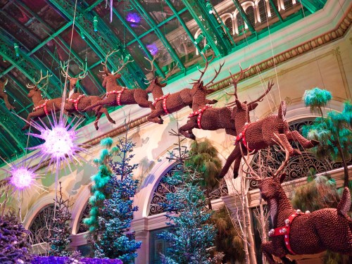 A festive display of reindeer suspended from the ceiling, surrounded by trees and colorful lights.