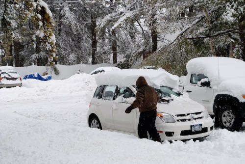 A person in a brown jacket clears snow from a white car in a snowy parking area surrounded by trees.