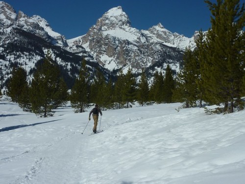 A skier glides through a snowy landscape with tall mountains and evergreen trees in the background under a clear blue sky.