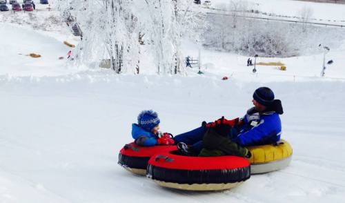 A man and a child sit on inflatable tubes, sliding down a snowy hill surrounded by winter scenery.