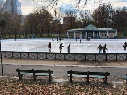 People ice skating on a rink in a park, with benches in the foreground and trees in the background.