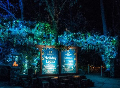 A festive entrance sign illuminated by colorful holiday lights in a dark, wooded setting.